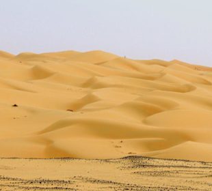 Sanddünen in der Rub al-Khali Wüste - Liwa Oase