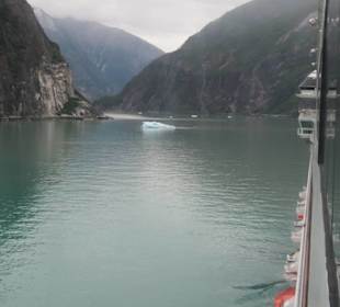 MS Zaandam befährt den Tracy Arm Fjord