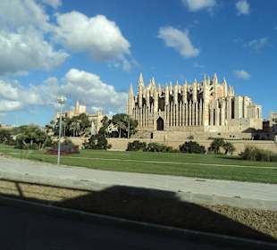Ausflug nach Palma. Mit Bus nr. 25 hält vorm allsun Hotel Pi