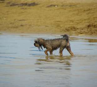 Strand von Bibione 06-2010
