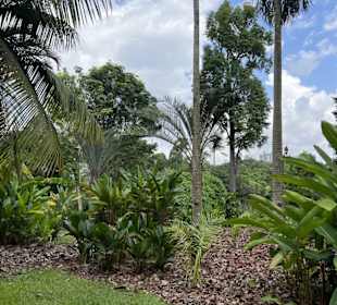 Botanic Garden Singapore