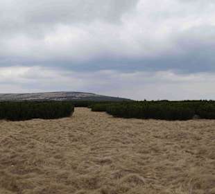 Berg Schneekoppe/Śnieżka
