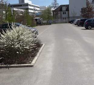 Spazierweg Ritter Museum