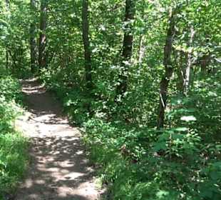 Wanderweg Sieben-Täler-Runde 