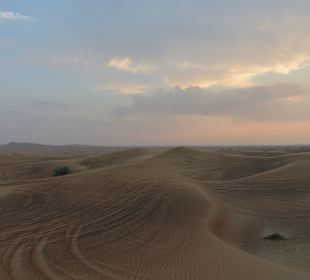 Wüstentour Dubai