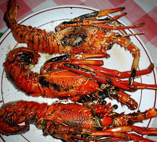 Riesen Portion Hummer