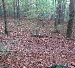 Wandertour "Rund um den Rossberg" Öschingen