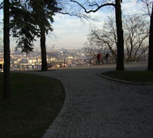 Spaziergänge & tolle Aussicht