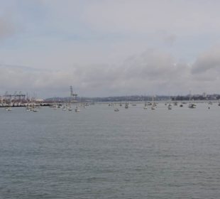 Mit dem Hop on Hop off Bus in Auckland unterwegs