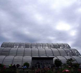 Das Palmenhaus Seitlich gesehen