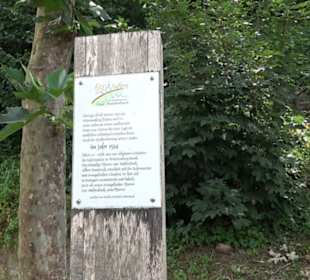 Stadtgeschichte aktiv erleben