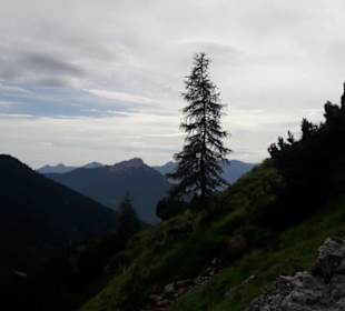 Ausblick