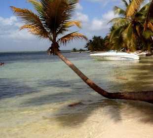 Wycieczka, rajskie Karaiby