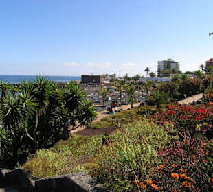 Blick von der Strasse her