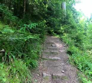 Wandern Schenkenzell