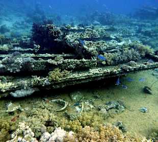 Überreste Jolanda-Wrack