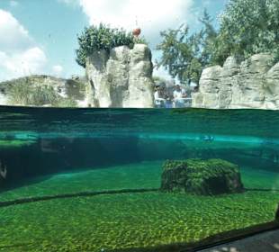 Unterwasserwelt im Zoo am Meer