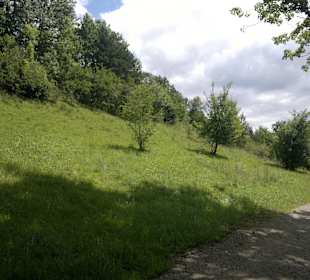 Wanderweg