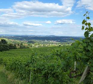 Ausblick