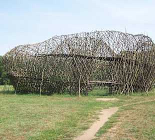 La "voliera x umani"