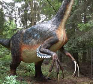 Dinosaurier Museum Altmühltal
