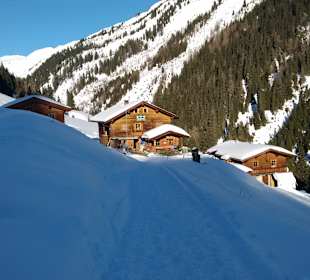 Steiner Alm
