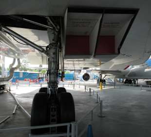 Im Museum of Flight