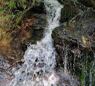 Wandern Hohen Bogen Neukirchen