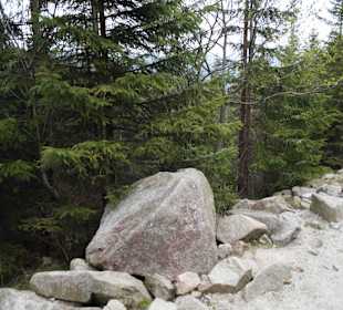 Berg Schneekoppe/Śnieżka
