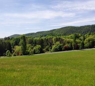 Hinunter Richtung Tierpark