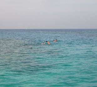 Korallenriff Magawish