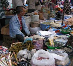 Kamelmarkt in Sousse