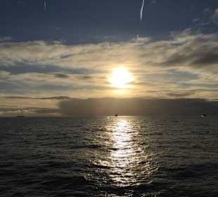 MS Helgoland