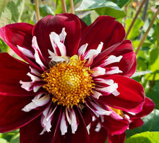 Wandern Bad Köstritz