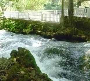 Hier fließt das Wasser noch flach