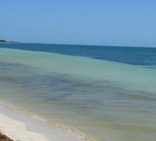 Bahia Honda