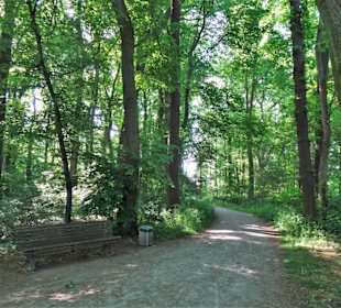 Eindrücke aus dem Hinüberschen Garten