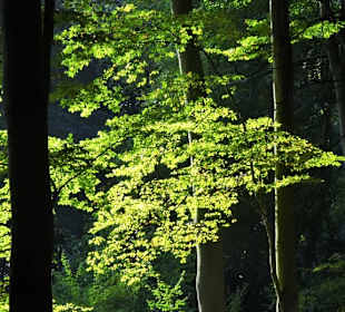 Herbst im Gesundheitspark Speckenbüttel