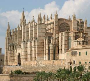 Katedrale Palma