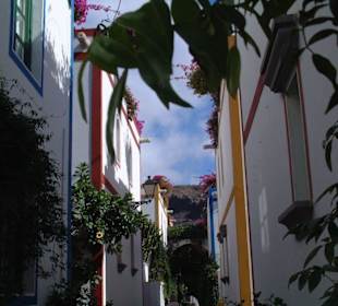 Ansichten am Hafen Puerto Mogan