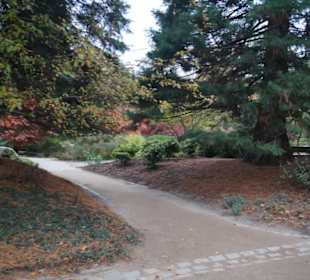 Parkanlage Planten un Blomen