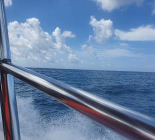 Isla Saona