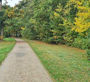 Untere Allerniederung bei Boye 