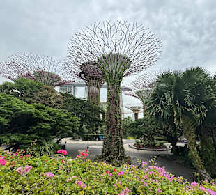 Gardens by the Bay