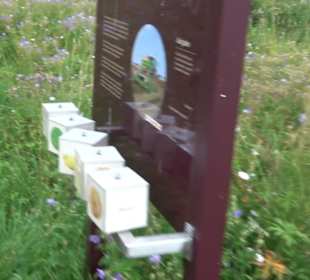 ALB-GOLD Naturgarten