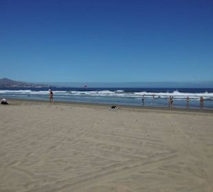 Wie kann man den Strand mit einer Sardinenbüchse v