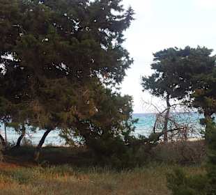 Blick zum Strand vom Nationalpark aus
