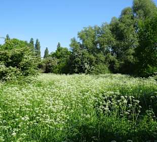 Spaziergang am südlichen Ufer des Sees