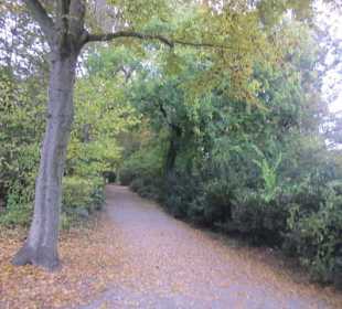 Altstadt Speyer Park am Dom