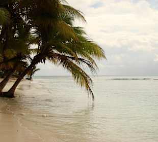 Saona Island